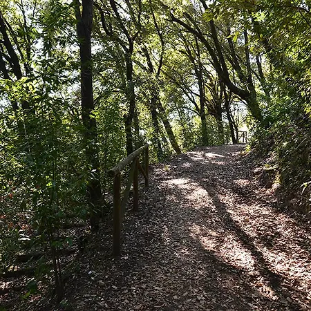 Fortezza Di Pozzo * Santa Maria a Monte
