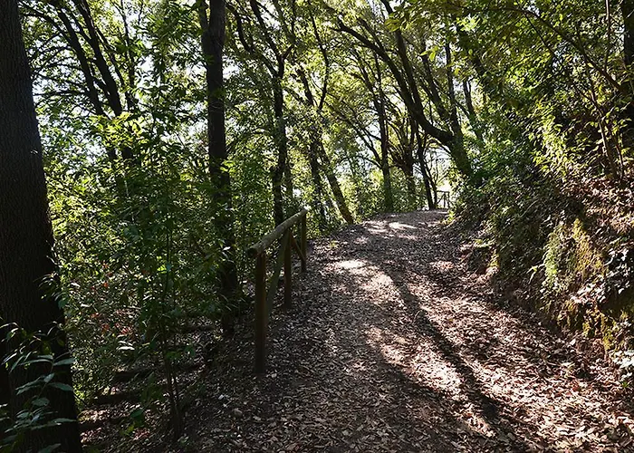 Fortezza Di Pozzo * Santa Maria a Monte